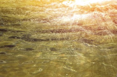 zehirli nehir suyu ile atık, su altından, soyut ba görüntülemek