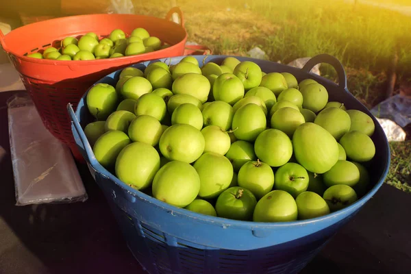 Jujuba em cesta, fruta orgânica verde fresca para uma preparação saudável enviada do jardim para o mercado . — Fotografia de Stock