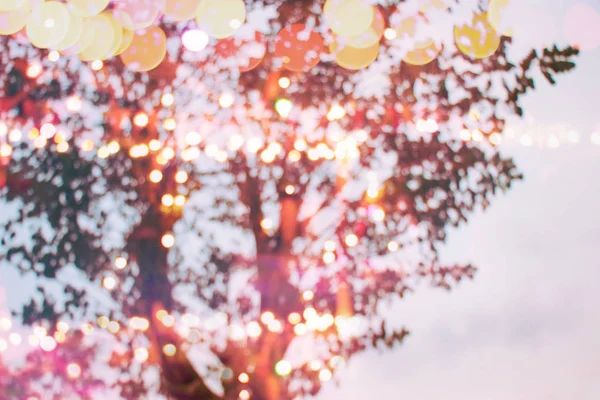 Desfocado lâmpadas decoração bokeh noite árvores ramo no feriado festival fundo, romântico lugar de amor . — Fotografia de Stock