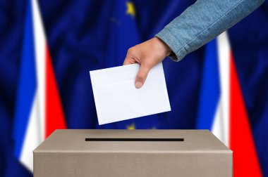 Fransa - oy sandığı oylama referandum