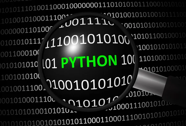 バイナリ コードを Python と拡大レンズ — ストック写真