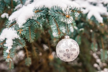 Gümüş Noel top karla kaplı ağaç dal