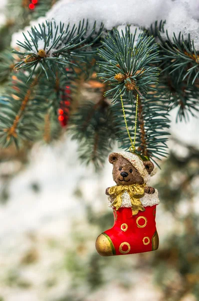 Teddy bear in Christmas sock on snowy branch fir — Stock Photo, Image