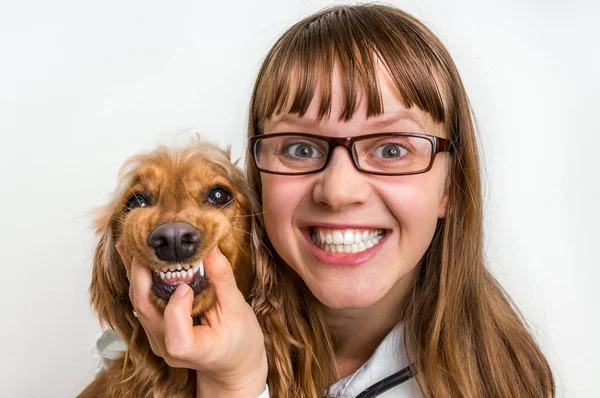 Cão sorrindo engraçado e veterinário na clínica veterinária — Fotografia de Stock