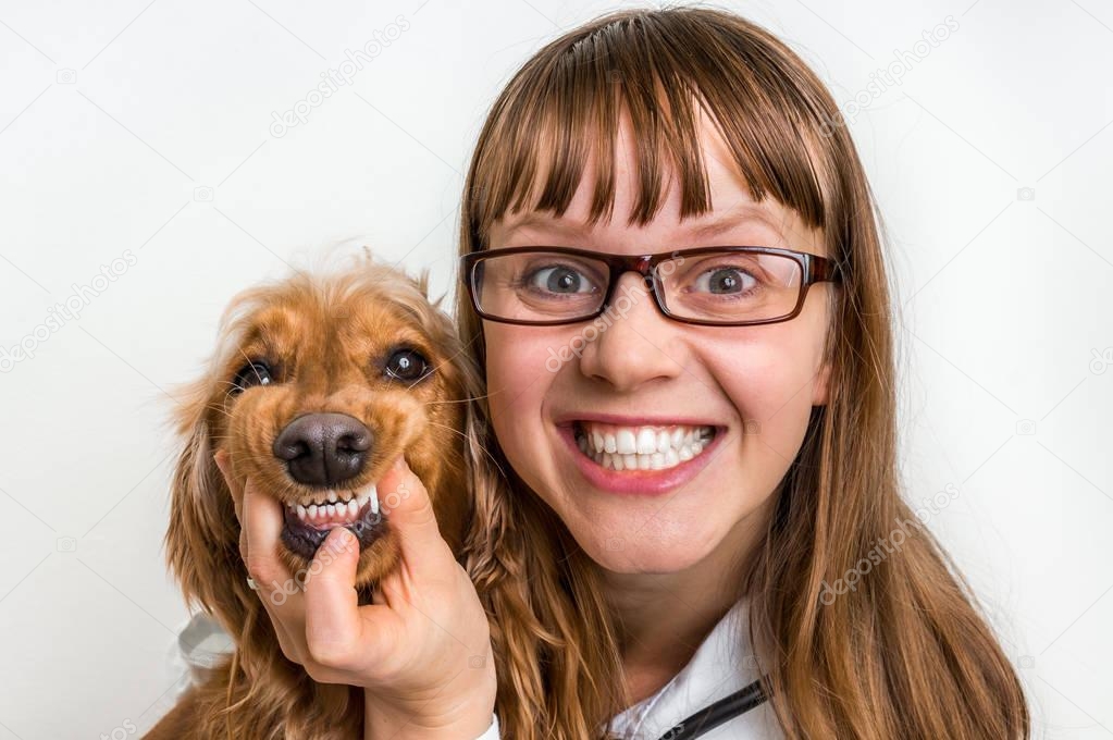 Funny smiling dog and veterinarian in veterinary clinic