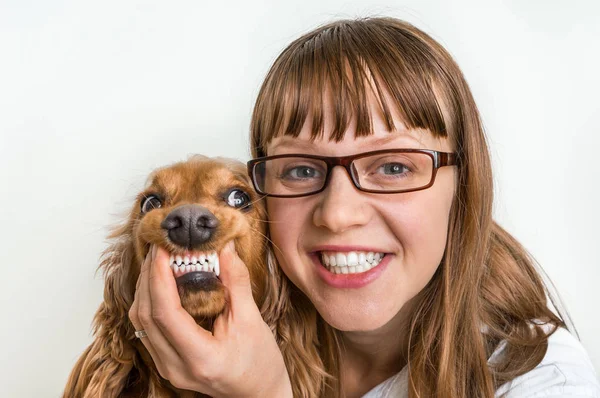 Cão sorrindo engraçado e veterinário na clínica veterinária — Fotografia de Stock