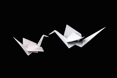 Siyah arka plan üzerine izole origami Vinçler