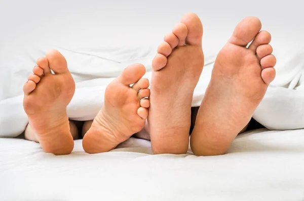 Feet of a couple in bed under the blanket — Stock Photo, Image