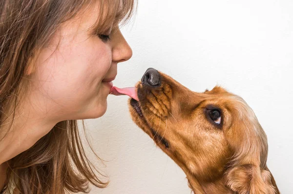 Niedlicher Hund leckt Gesicht einer Frau — Stockfoto