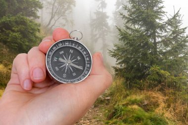 Orman doğru bir şekilde pusula kadınla arayışı