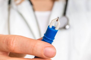 Kadın doktor bir kene cımbızla tutuyor