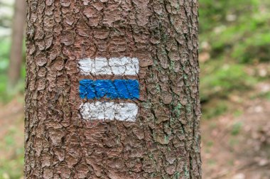 Renkli turist işareti veya işareti ağaç üzerinde