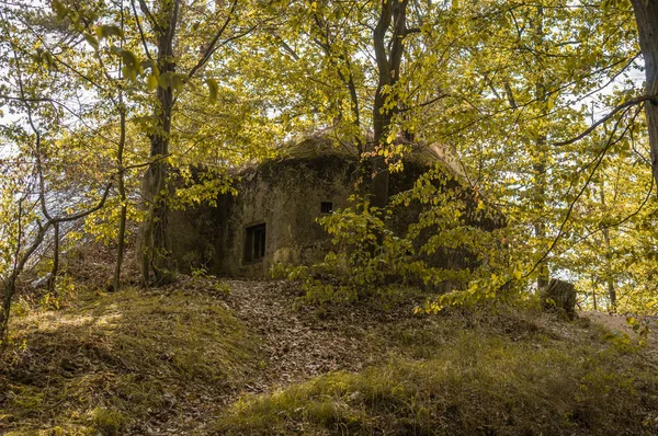Военный бункер в лесу времен Второй мировой войны — стоковое фото