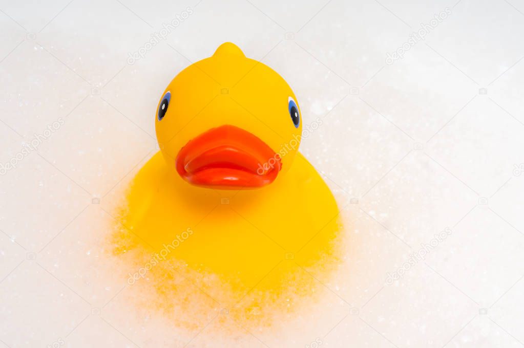 Rubber duck and foam in bathtub