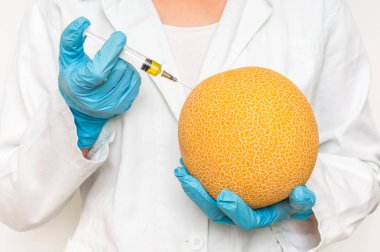 Sarı kavun şırıngadan sıvı enjekte GDO bilim adamı