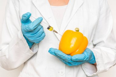 GDO bilim adamı şırıngadan sıvı enjekte sarı biber