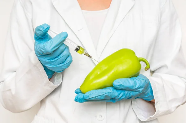 Cientista de OGM injetando líquido da seringa na pimenta — Fotografia de Stock