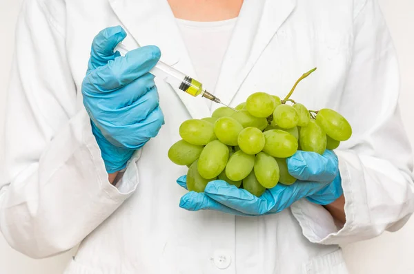 Gmo-Wissenschaftler injiziert Flüssigkeit aus Spritze in Trauben — Stockfoto