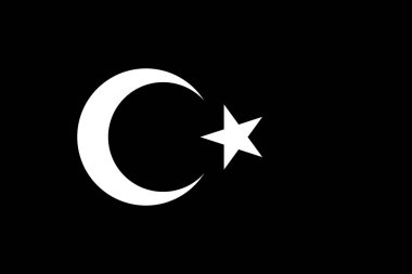 Siyah ve beyaz renkler - vektör görüntü ile Türkiye'nin bayrak