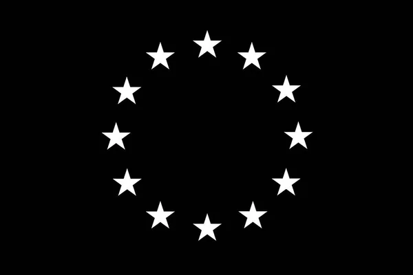 Bandera de la Unión Europea con colores blanco y negro — Vector de stock