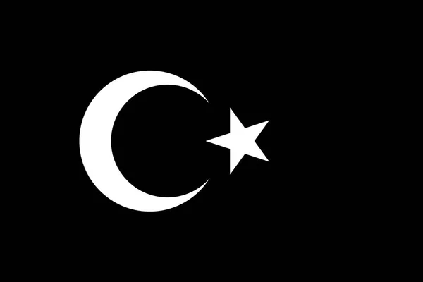 Flagge der Türkei mit schwarz-weißen Farben - Vektorbild — Stockvektor