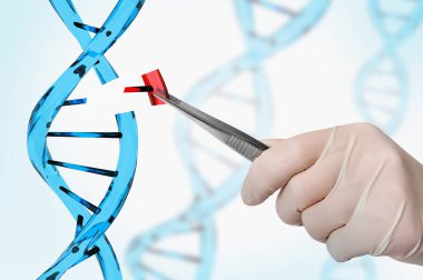 Genetik mühendisliği ve gen manipülasyon kavramı