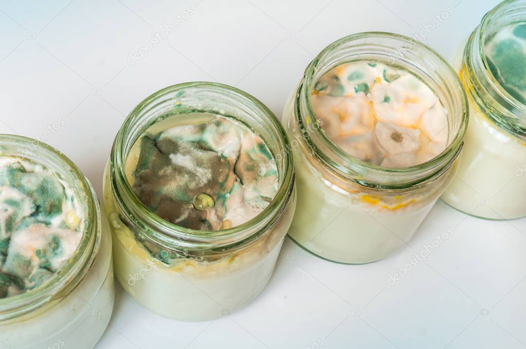 Yogurt with mold in glass container in laboratory
