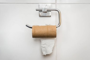 Umumi boş tuvalet kağıdı rulosu