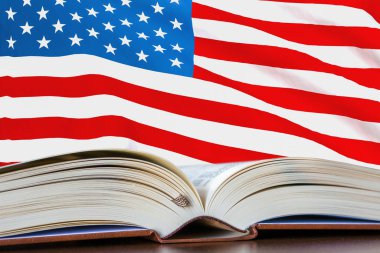 Amerika Birleşik Devletleri Eğitimi