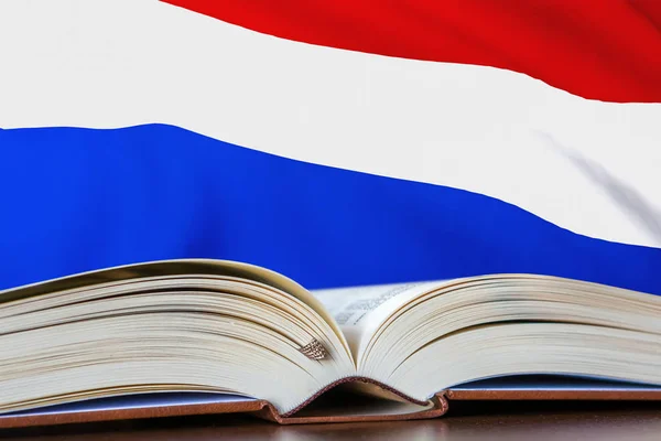 Onderwijs in Nederland — Stockfoto