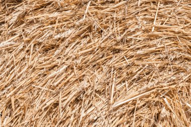 Saman arka planı. Tarımda hasat..