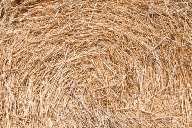 Saman arka planı. Tarımda hasat..