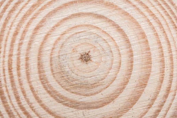 Деревянная обрезка поверхности с органическими кольцами деревьев - вид крупным планом
