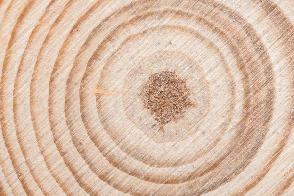 Surface Coupée Bois Avec Anneaux Arbres Organiques Vue Rapprochée Images De Stock Libres De Droits