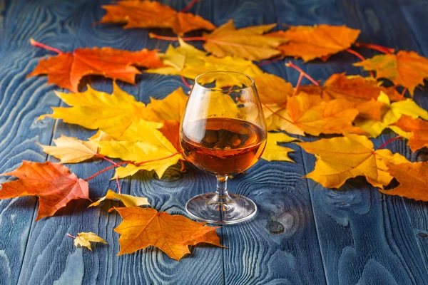 Beber e folhas de outono — Fotografia de Stock