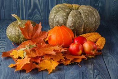 Şükran - fındık, meyve ve tahıl ile farklı pumpkins ben