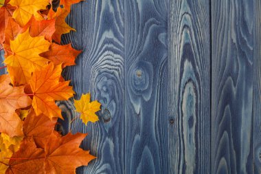 sonbahar yaprakları eski ahşap arka plan üzerinde. kopya alanı ile