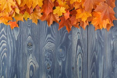 Grunge ahşap cya çerçevelemek--dan canlı renkli sonbahar yaprakları