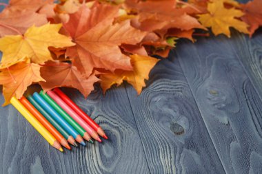 renkli ahşap kalemler ile sonbahar yaprakları üzerinde ahşap masa