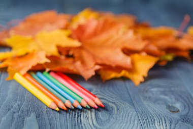 Renkli kalemler ve ahşap arka plan üzerinde sonbahar yaprakları