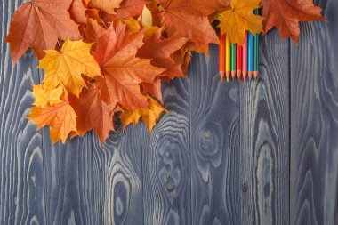 okul kalem tablo, çeşitli tonları, renkli kağıda yalan,