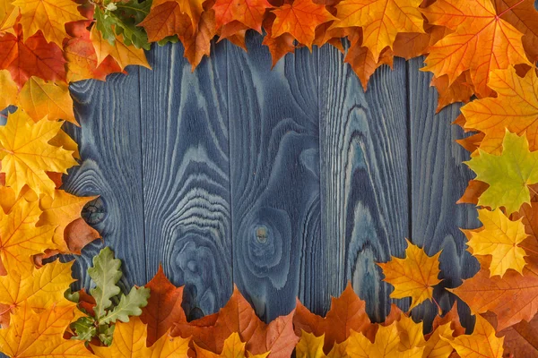 yellow wet autumn leaves on the background a blue old wood