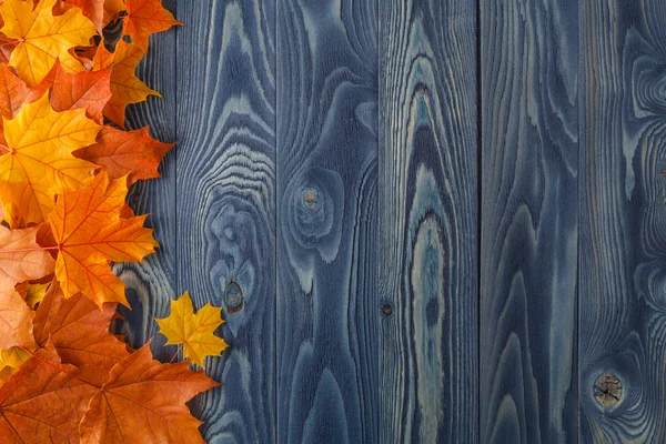 Vintage složení s podzimním ovocem na dřevěné pozadí — Stock fotografie