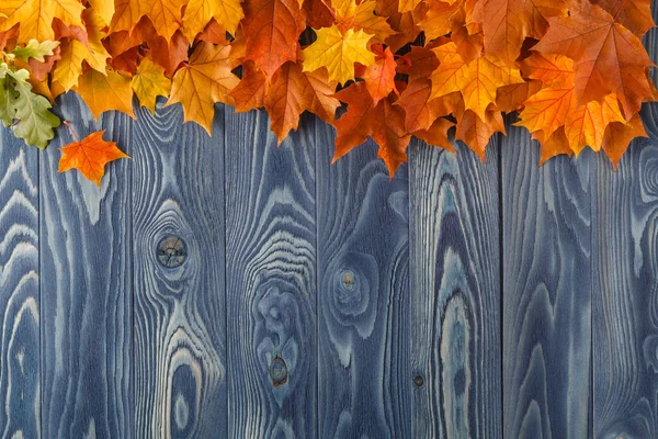 Daun musim gugur di atas latar belakang kayu tua. Dengan ruang fotokopi — Stok Foto
