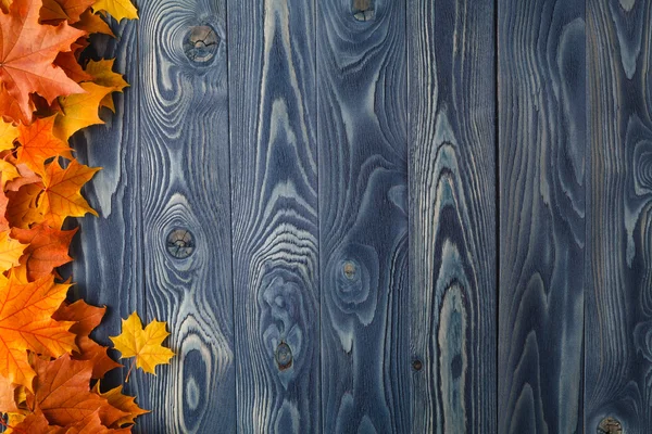 Fundo de outono com folhas de cor em placas azuis — Fotografia de Stock