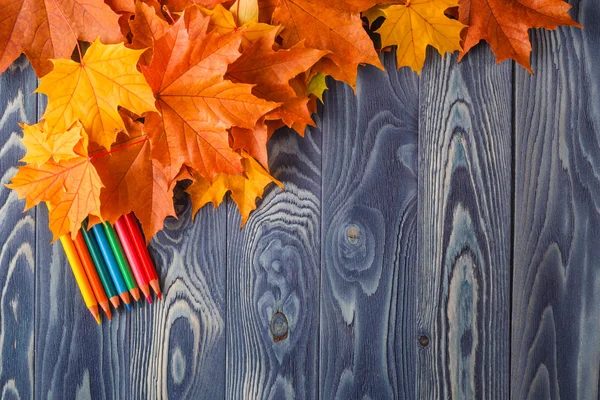 Осенние листья на синем деревянном столе — стоковое фото