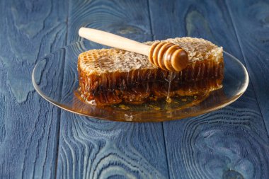 Koyu mavi yüzey üzerinde bal ayı ile petek