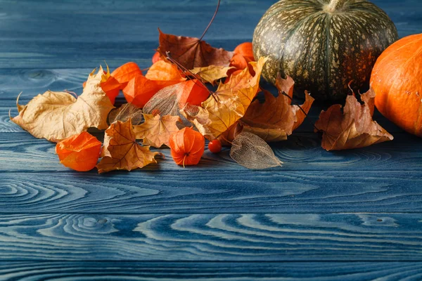 Feuille d'automne sur fond en bois bleu — Photo