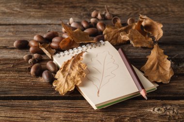 sonbahar yaprakları eski kağıt sayfası