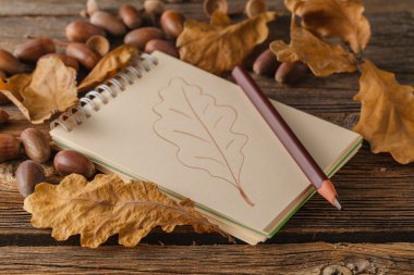 Sonbahar Tema ve yaratıcılık